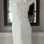 Milly  Chloe 3-D Lace Dress in White, Size 2 New w/Tag Retail $395 Photo 4