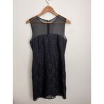 Diane Von Furstenberg  Nisha Illusion Yoke Lace Silk Dress Fairy Grunge Goth Rose Photo 2