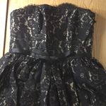 Neiman Marcus New Womens Blck/Tan Lacey Dress Size 6 Photo 4