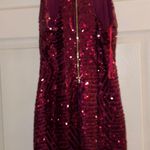 Windsor Sequin Mini Dress Photo 3