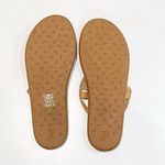 NEW Ancient Greek Sandals 42 Hydor Leather Flip Flops Thong Slides Dustbag 12 Size undefined Photo 6