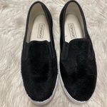 Top Shop Shoes Size EU 37 Photo 1