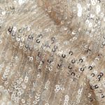 H&M SMALL Sparkly Straight Cut Sequined Mesh Short Sleeve Top Blouse Tee Photo 10