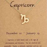 🆕Capricorn Zodiac Astrology Pendant Necklace Gold Photo 0
