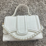 ZARA  Purse Mini Crossbody Photo 0