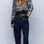 ZARA Pizza Zebra Stripe Jacquard Knit Sweater Photo 1