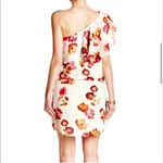Haute Hippie Floral One Shoulder Dress Ruffle L Photo 5