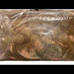 Coach NWT Tech Phone Wallet In Colorblock Signature Canvas Photo 3