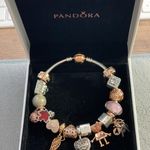 Pandora Bracelet (17 Charms) Photo 1