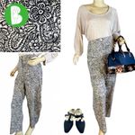 Talbots  WOMAN BLUE AND BEIGE PAISLEY PRINT PANTS NWT (26W) Photo 1