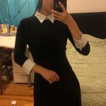 Adrienne Vittadini Black and White Collared Dress Photo 2