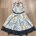 Anthropologie RYU  Tulle Fit and Flare Floral Dress Mesh Polka Dot Overlay NWT Photo 6