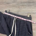 Sundry  dark gray kick flare‎ sweatpants Photo 4