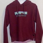 Patagonia Hoodie Photo 0