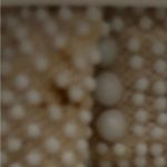 Vintage 1950's John Wind White Beaded purse Photo 3