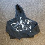 Calvin Klein Cropped Hoodie Photo 0