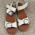 Everlane White twin buckle Sandals Photo 0