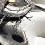 Dr. Martens  Zavala‎ Boots Black Patent Leather Men’s Size 7/ Women’s Size 8 Docs Photo 12