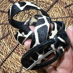 Garuglieri Belt L‎ Black White Leather Fur Giraffe Print Animal Western Boho 38” Size L Photo 0