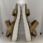 Seychelles  Platform Slingback SANDALS Metallic Gold Snake Print Women’s 7 Photo 6