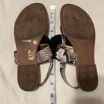 BCBGeneration sz 7 gold sandals w/black flower & snake print straps GUC No box Photo 7