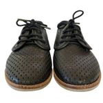 Rollie Australia Derby Punch Black Perforated Leather Lightweight Oxford Shoes Photo 2