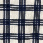 Madewell Blue and White Leighton Plaid Ruffle Bell Sleeve V-Neck Dress Photo 2