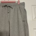Aritzia TNA Grey Jogger Sweatpants Photo 3