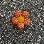 Shoe charm, orange checkered Daisy Photo 0