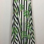 Jealous Tomato  Photo 0