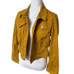 Pilcro ‎ ANTHROPOLOGIE Denim Jacket Classic Style Versatile Trendy MEDIUM Photo 3