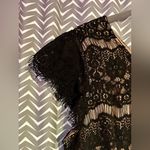 Anthropologie  / Maeve | Elsa peplum lace dress, size L Photo 4