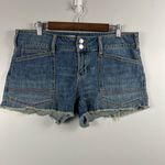Anthropologie  The Wanderer Shorts by Pilcro size 28 Photo 2