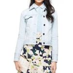 J.Crew  Womens Surf Skirt In Cove Floral Scuba 2 Photo 2