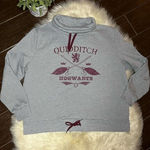 Harry Potter grey/burgundy Quidditch Hogwarts pullover sz XL Gray Photo 0