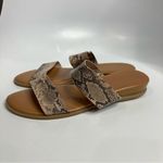 LC Lauren Conrad LC‎ Lauren Conrad snake Skin sandals size 8/8.5 Photo 1