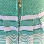 Alya Mint Green Striped Skirt Photo 3
