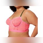 Parade Underwear NWT - Lace Bustier. Photo 5