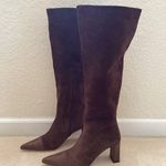STAUD  Brown Suede Pointed Toe Knee High Boots Photo 0