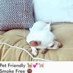 Arizona Jeans 🌴 2/$12 SALE Arizona Jean Co floral denim shorts 1small mark Photo 9