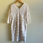 Adrianna Papell  Long Shutter Pleat Shimmer Dress Lace Bodice Womens‎ Size 10 Photo 8