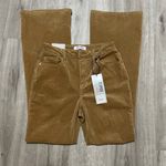 Blue Spice Coffee Brown High Rise Flare Velvet Pants. Photo 2