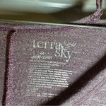 Terra & Sky  Purple V Neck 3/4 Sleeve Top size 2X Photo 1