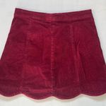 Altar'd State altar’d state skirt  Photo 0