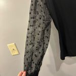 Pretty Little Thing  Black Rib High Neck Sheer Polka Dot Puff Long Sleeve Top Photo 4