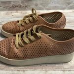 Oasis Society Perforated Lace Up Sneakers Women's Size 7.5 Blush Shoes Fashion Pink Photo 5