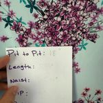 Candie's  Light Blue Floral Lace Top Photo 7