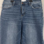 Vervet  Jeans Distressed Denim 31 Photo 0