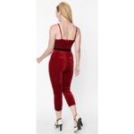 Unique Vintage  Velvet Jumpsuit Photo 1