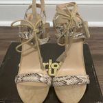 Charlotte Russe Pietra Ankle Strap Heels 9 Photo 4
